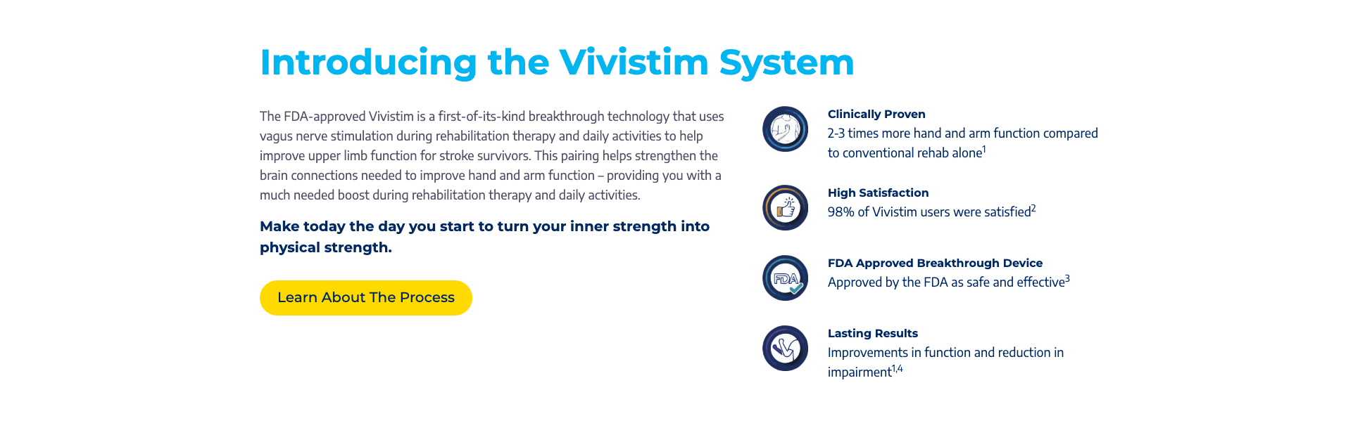 Vivistim_3